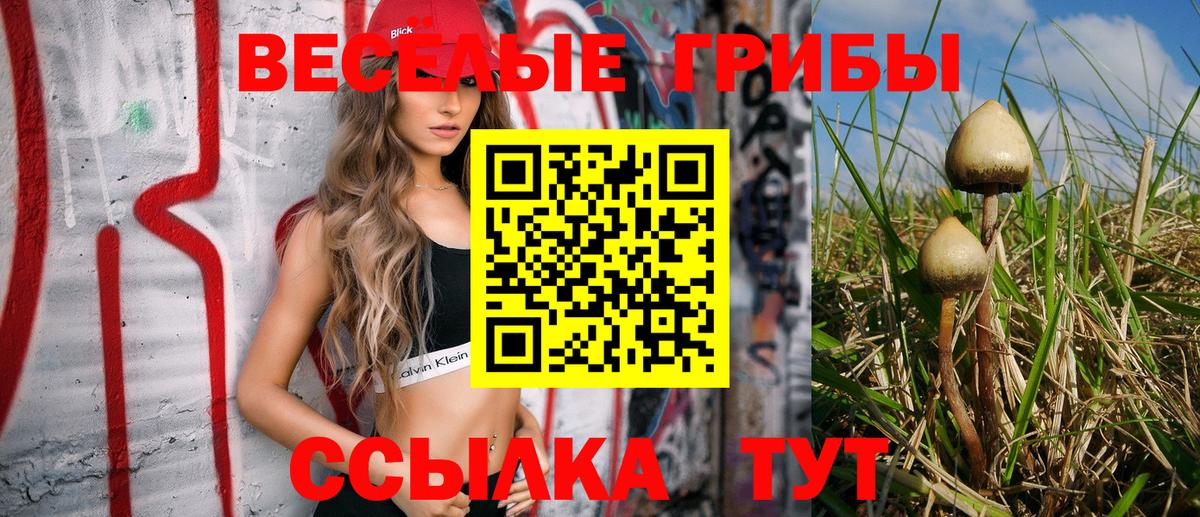 Псилоцибиновые грибы прущие грибы  Псилоцибиновые грибы Magic Shrooms  Ногинск  Вход с VPN 